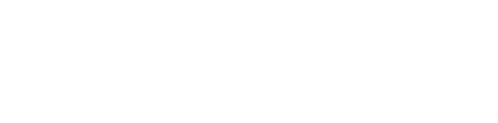 ola 6