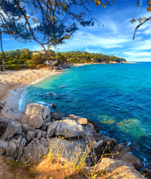 A beach with people sunbathing, blue sea, rocks and vegetation